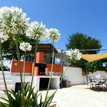Villetta Panoramica Ostuni Exterior foto